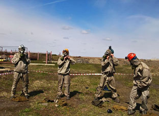 Барс